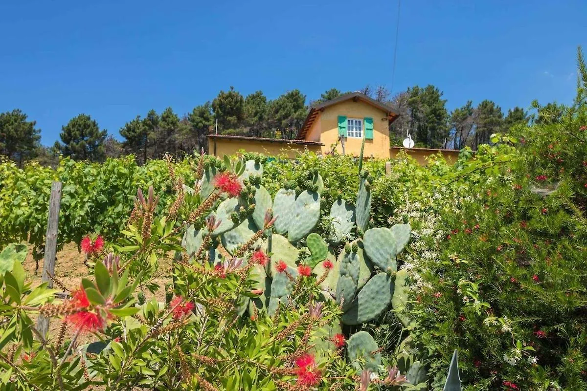 Holiday home Casale Monaco By Nicola Real Estate Villa Corsanico-Bargecchia